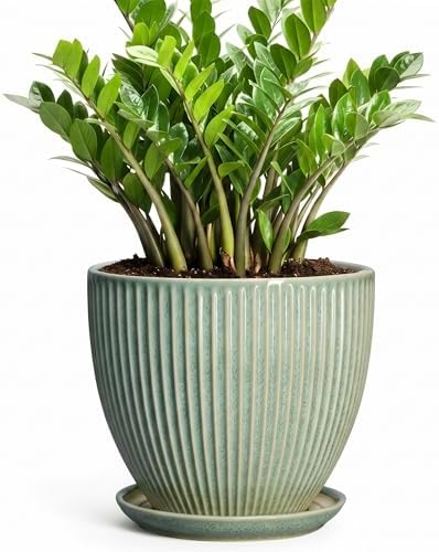 Ceramic Flower Pots, 10 Inch Plant Pot for Indoor Plants, Modern Round Planters with Drainage Hole and Saucer, Decorative Pots for Plants Indoor, Garden Home Decor, Plant Lover Gifts, Green by Unknown