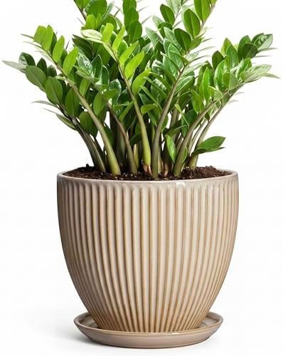 Ceramic Planter, 10 Inch Plant Pot for Large Indoor Plants, Beige by Unknown