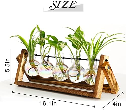 XXXFLOWER Plant Terrarium with Wooden Stand Desk Plant 5 Bulb Vase - Image 2