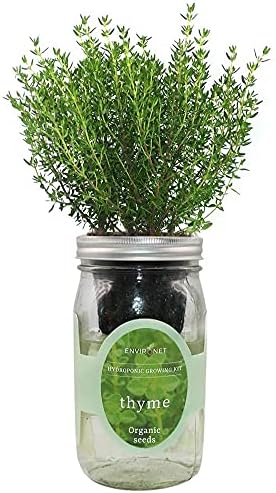 Hydroponic Herb Growing Kit, Self-Watering Mason Jar Herb Garden Starter Kit Indoor, Window Herbs Garden, Grow Your Own Herbs from Organic Seeds (Thyme) by Environet