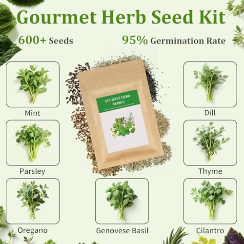 10-Set Indoor Herb Garden Starter Kit, 7 Seeds Growing into Basil, Parsley, Thyme, Mint, Cilantro, Dill, Oregano Including 10 White Pots, Markers, Nutritional Soil, Ideal Christmas Gifts for Women - Image 3