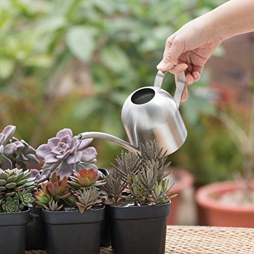 Watering Can for Indoor Plants, 450ml/15oz Stainless Steel - Image 3