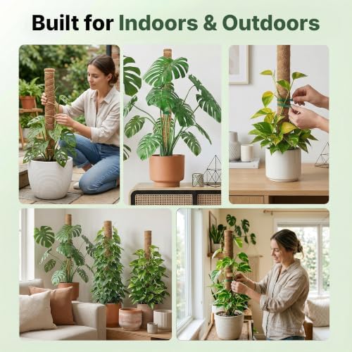 4 Pack 22" Moss Pole Monstera Plant Support - Stackable up to 70" - Image 7