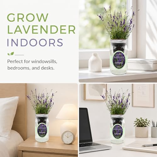 Hydroponic Herb Growing Kit, Self-Watering Mason Jar Herb Garden Starter Kit Indoor, Windowsill Herbs Garden, Grow Your Own Herbs from Organic Seeds (Lavender) - Image 6