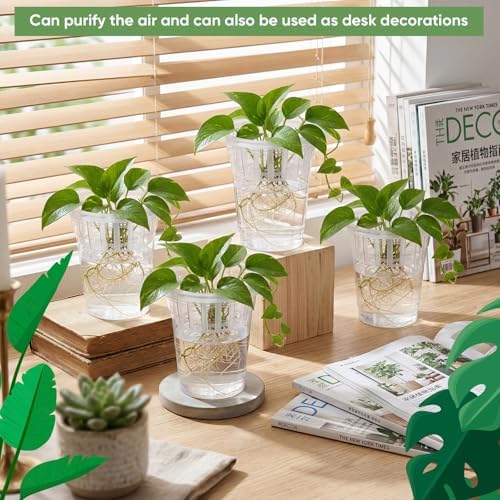 Baderke 70 Pcs Plastic Plant Propagation Vase for Indoor Decor, 4.25'' - Image 3