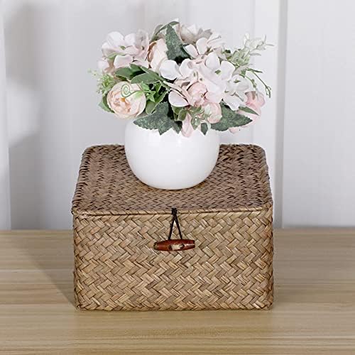 Hipiwe Small Wicker Shelf Baskets Handwoven Seagrass Storage Bin with Lid - Image 4