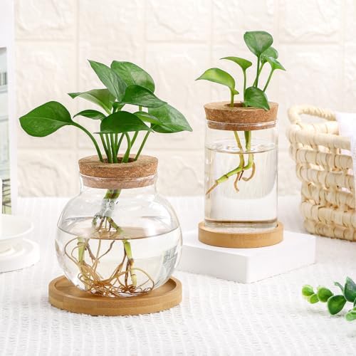 Layhit 4 Pcs Plants Propagation Stations vases Glass Planters with Wooden Lid and Bamboo Stand for Hydroponic Plants Gardening Gifts for Women Mom Home Office Tabletop Decoration(Funny Style) - Image 2