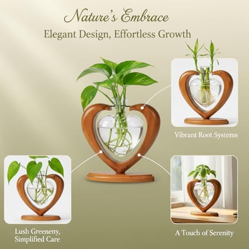 Plant Propagation Station, Heart Glass Vase, Solid Wooden Stand - Image 6