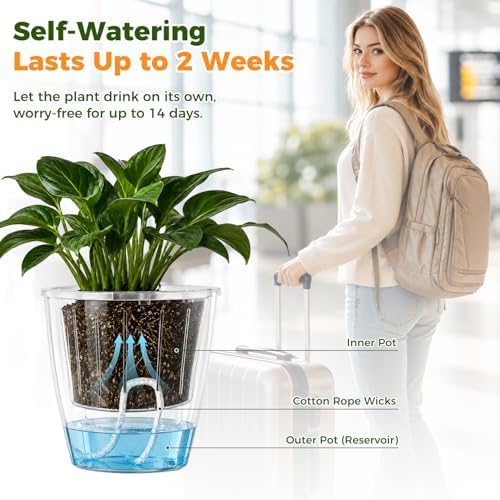 Clear Self Watering Pots for Indoor Plants, 6-Pack 6.7'' Clear Plant Pots with Drainage, Self Watering Planter, African Violet Pot, Semi Hydroponic Pot for Orchids, Flowers, Herbs - Image 5