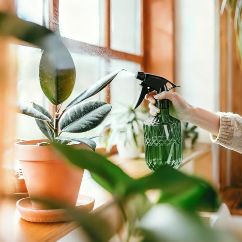 Glass Plant Misters for Inside, 13.5 oz Mister Spray Bottle for Plants, Spring Gardening, Cleaning, Hair, Pets Care with Adjustable Nozzle - Image 5
