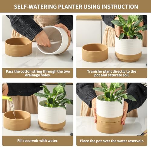 HASENSE Self Watering Plant Pot, 6 Inch Porcelain Planter with Drainage Hole and Saucers for Indoor & Outdoor Plants, Round Flower Pots for Houserwarming Gift, White - Image 4