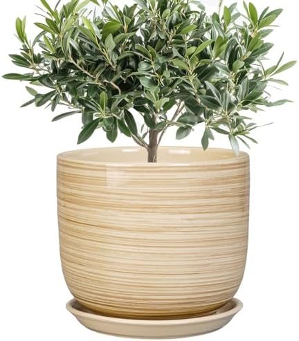 Indoor Plant Pot 8 Inch - Cylinder Modern Ceramic Planter for Indoor Outdoor Plants with Drainage Hole and Saucer, House Office Home Room Desk Decor, Yellow by SUNPOTFOR