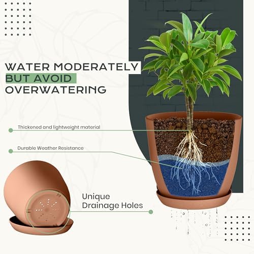 Plant Pots Indoor with Drainage 10 Pack Multi-Size Planters Set Terracotta - Image 3