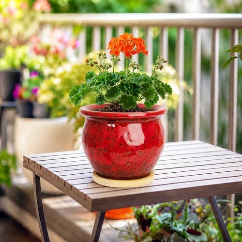4.5 Inch Plant Pots with Drainage, Small Ceramic Pots for Indoor Plants - Image 6