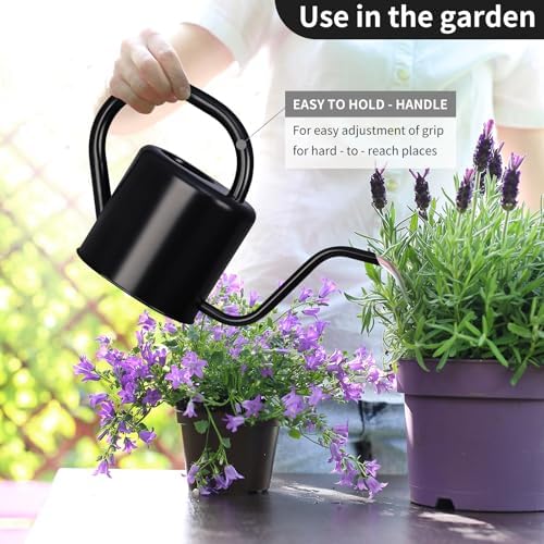 Watering Can, Stainless Steel Watering Can for Indoor & Outdoor Plants, 1L/35oz Long Spout Water Can with Handle, Rust-Proof Plant Watering Pot for House Plants, Garden Flowers - Image 5