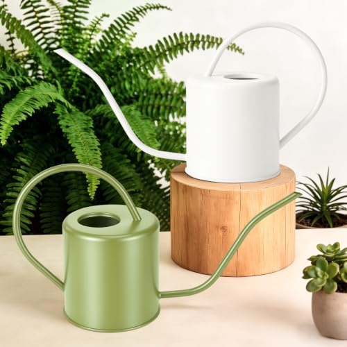 Plant Watering Can, 50 oz / 1500 ml Stainless Steel Metal - Modern Decorative with Long Spout for Indoor Potted Plants, Bonsai, Garden Flowers, Cream White - Image 2