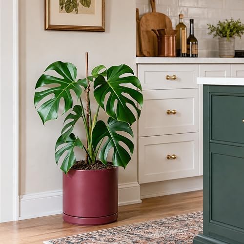 D'vine Dev 10 Inch Ceramic Planter Pot, Cordovan, 94-O-E-4 - Image 6