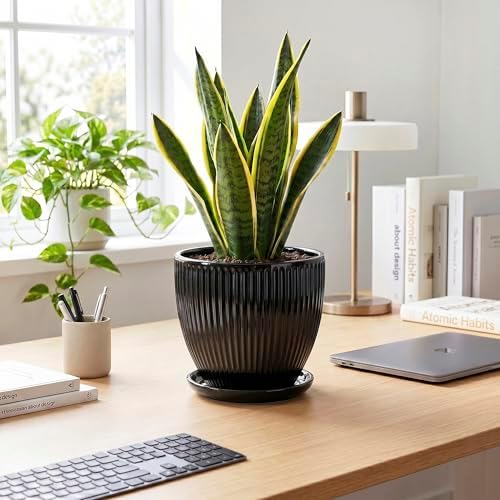 8 Inch Plant Pot, Ceramic Planter with Drainage Hole and Saucer, Modern Planters for Indoor Plants, Indoor Planter, Decorative Round Flower Pot, Apartment Decor, Plant Lover Gifts, Black - Image 3