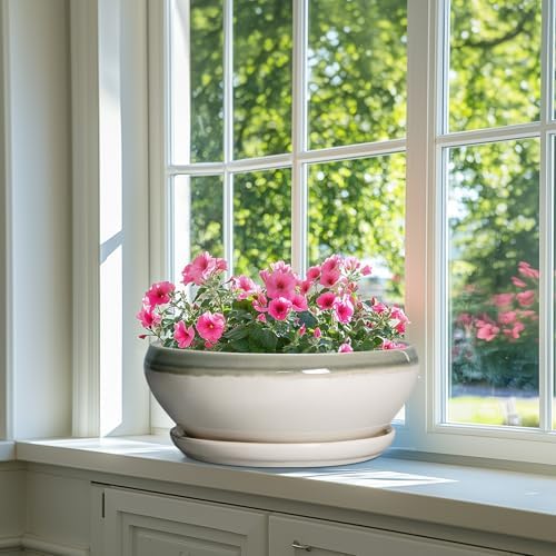 SQOWL Large Succulent Planters, 12 Inch Ceramic Bonsai Pots, Gray-Beige - Image 6