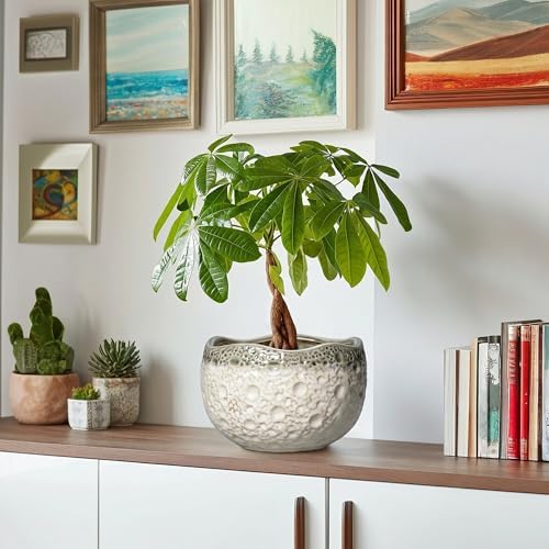 Ceramic Flower Pots - 8 Inch Plant Pots for Indoor Outdoor, Unique Round Planter with Drainage Hole and Plug, Decorative Ceramic Planter, Room Decor, House Warming Gifts, Beige-Grey - Image 6