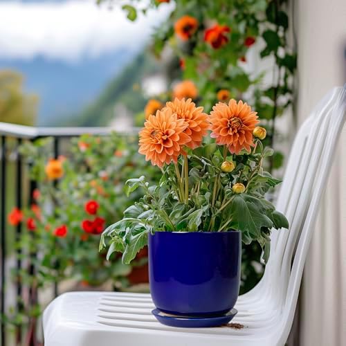 Succulent Pot 5 Inch - Modern Ceramic Planter for Indoor Plants with Drainage Hole and Saucer, Office Home Room Patio Decor, Blue - Image 7