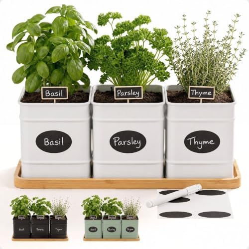 Herb Planter Indoor, 3-pc Herb Pots w/ Drainage Holes, Bamboo Tray & Labels by HBDesignCo