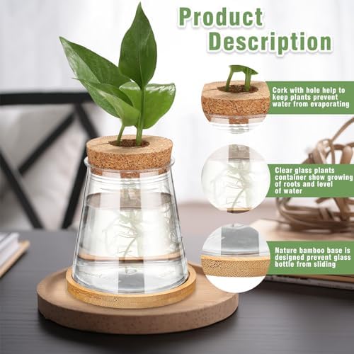 Baderke 12 Packs Propagation Vases for Plants Plastic Plant Propagation with Hole Lid and Bamboo Stand Growing in Water Hydroponic Home Office Desktop Vase Decoration (Cute Style) - Image 3