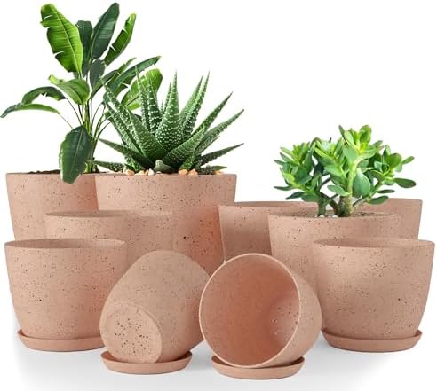 Plant Pots Indoor with Drainage 10 Pack Planters Spotty Peach Pink by UTOPIAHOME