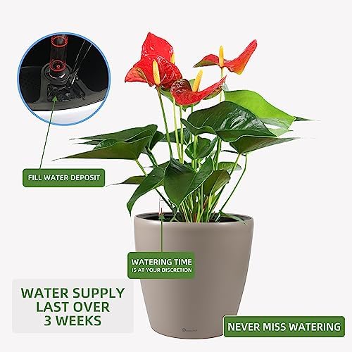Dexceder 18x17 Self Watering Planter with Wheels (Taupe Matte) - Image 5