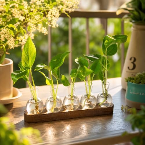 Plant Propagation Station with Wooden Stand, 5 Bulbs - Image 2