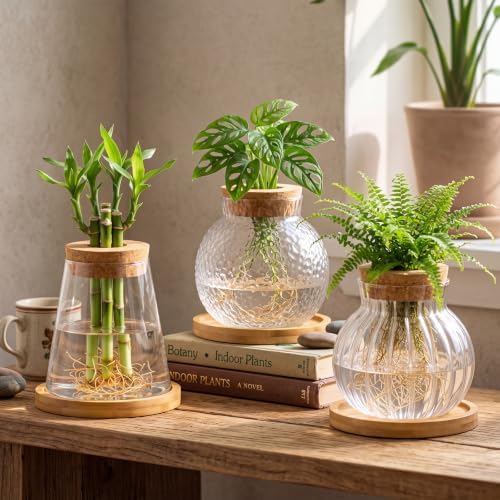 Honeydak 6 Pcs Plants Propagation Stations Planter Terrariums with Wooden Lid and Bamboo Stand Hammered Glass Propagation Vases for Plant Growing Hydroponic Home Office Tabletop Decoration - Image 5