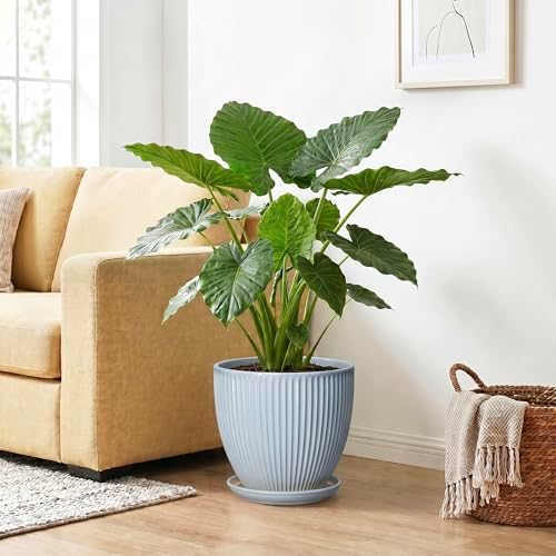 10 Inch Pots for Plants, Ceramic Plant Pots with Drainage Hole and Saucer, Modern Flower Pots for Indoor Plants, Decorative Large Planter, Entryway Decor, Gardening Gifts, Light Blue - Image 4