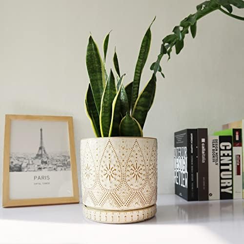 8 Inch Indoor Plant Pot with Drainage Holes and Saucers, Ceramic Planter for Plants, Succulent Orchid Flower Pots - Image 5