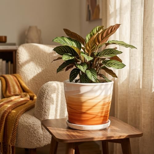 8 Inch Ceramic Plant Pot, Khaki + White - Image 2