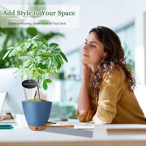 6 Inch Small Self Watering Pots for Indoor Plants, 5-Pack - Image 4