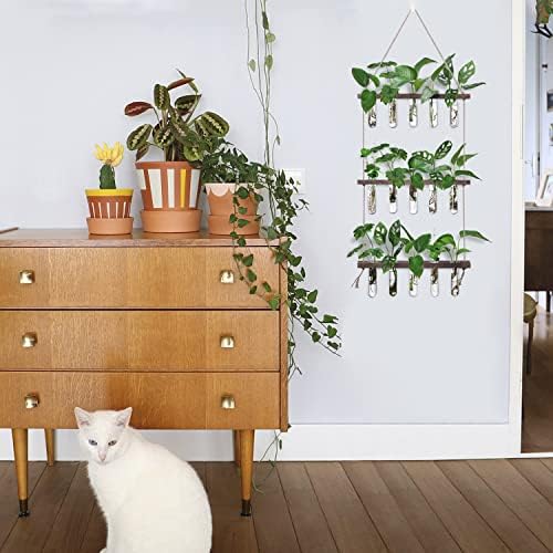 XXXFLOWER Wall Hanging Propagation Station with Wooden Stand 5 Glass Test Tubes 3 Tiered Planters Wall Terrarium for Home Office Plant Hanger Flower Vases Wall Decor Hydroponic Cuttings - Image 3