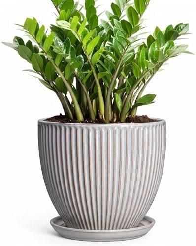10 Inch Pots for Plants Indoor, Ceramic Planters with Drainage Hole and Saucer, Round Large Plant Pots for House Plants, Decorative Flower Planter, Porch Decor, Plant Lover Gifts, Grey by Unknown