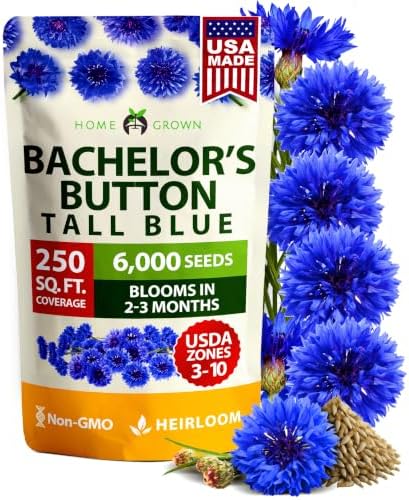 HOME GROWN Bachelor Button Seeds, Tall Blue, 6,000 Seeds, Centaurea cyanus by HOMEGROWN
