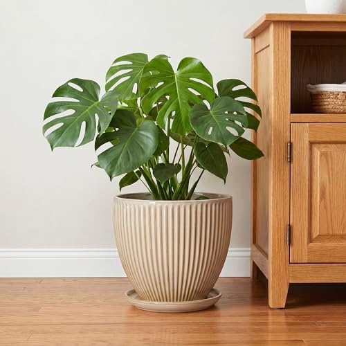 Ceramic Planter, 10 Inch Plant Pot for Large Indoor Plants, Beige - Image 6