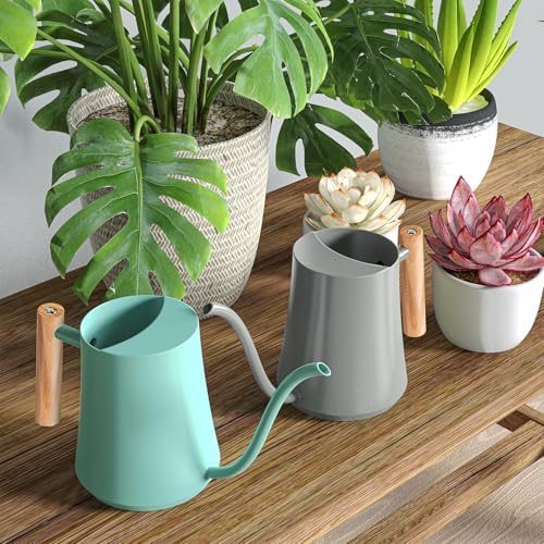 Green Moon 1L/35oz Metal Watering Can Indoor with Long Spout, Gray - Image 3