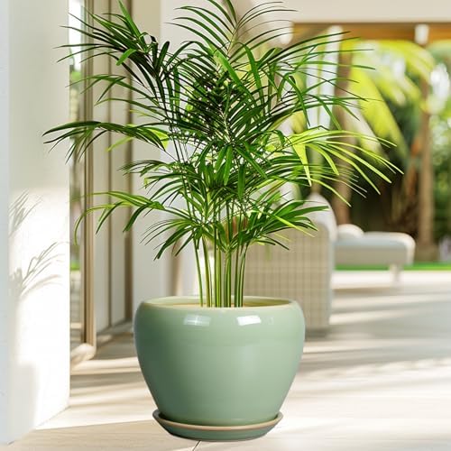 Ceramicfor 8 Inch Plant Pot - Ceramic Planter for Outdoor Plants Indoor Plant Pot with Drainage Hole and Saucer Mid-Century Round Planter Flower Pot for House Garden Green - Image 4