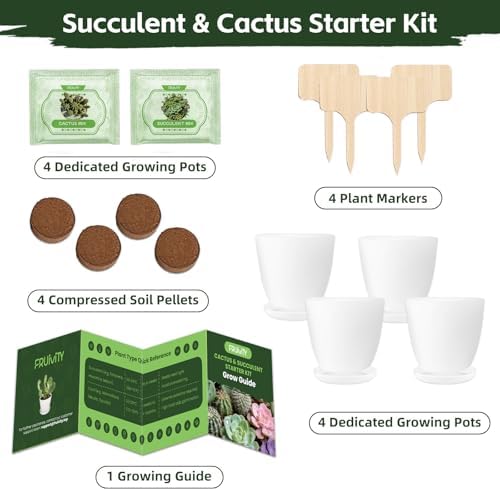 Succulent & Cactus Seed Kit for Planting, Premium Cactus & Succulent Starter Kit: 4 Growing Pot, Markers, Seeds Mix, Soil - Beginner Indoor Cacti Kit – House Plant - Men Women DIY Gift Kits - Image 2