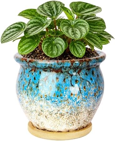 Plant Pots, 4.5 Inch Plant Pots for Indoor, Small Ceramic Planter with Tray by ARTKETTY
