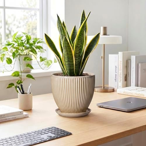 8 Inch Pots for Plants, Ceramic Planter with Drainage Hole and Saucer, Decorative Indoor Plant Pots for Snake Plants, Modern Round Flower Pot, Office House Decor, Gardening Gifts, Beige - Image 3