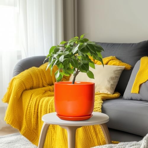 Ceramic Pot for Plants - 8 Inch Plant Pot with Drainage Hole and Saucer, Cylinder Modern Round Planter for Indoor Outdoor Plants, Housewarming Gifts, Office Home Garden Decor, Orange - Image 6