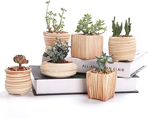 2.5-3" Succulent Pots, Ceramic Wood Pattern Cactus Planters Set, 6 Pack by SESUN-E