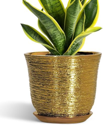 Ceramic Plant Pots - 8 Inch Plant Pot with Drainage Hole and Saucer, Round Planter for Indoor Outdoor, Modern Flower Pot, Decorative Planter, Garden Home Office Decor, Gardening Gifts, Gold by SUNPOTFOR