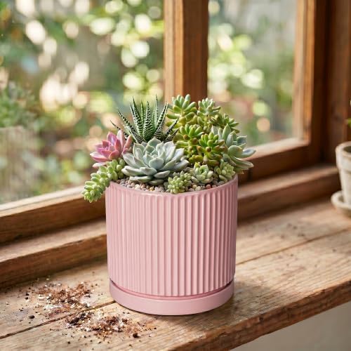 Ceramic Succulent Pots, 4 Inch Pots for Plants, Round Planter, Pink - Image 3