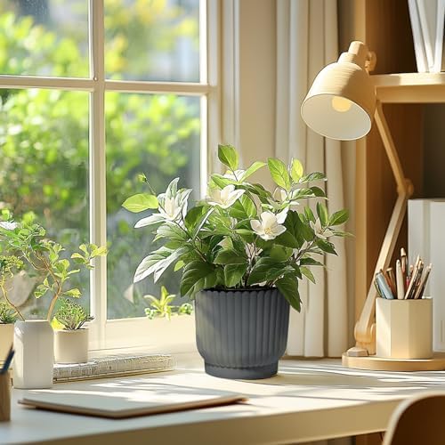 T4U Self Watering Pots for Indoor Plants, 6 Inch 6 Pack Planter Gray - Image 7