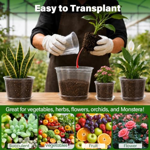 Bluepro Clear Nursery Pots with Saucers, 6/8/10/12 Inch, 20-Pack - Image 5